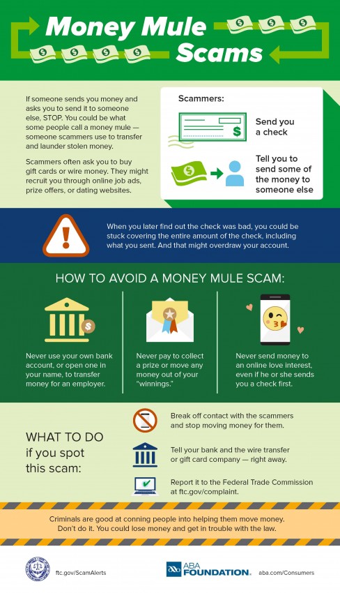 Infographic illustrating money mule scams and how to avoid them.